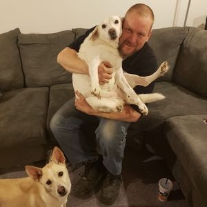 Meet your Posher, Phil